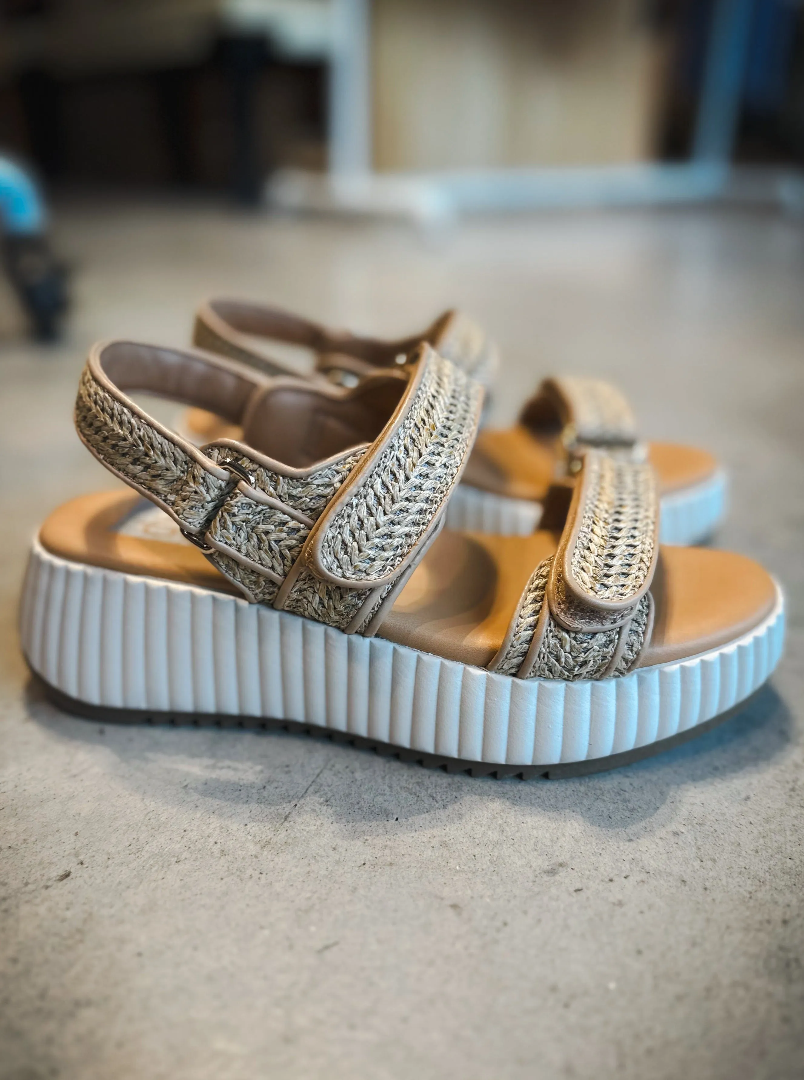 DV by Dolce Vita Fighter Sandal