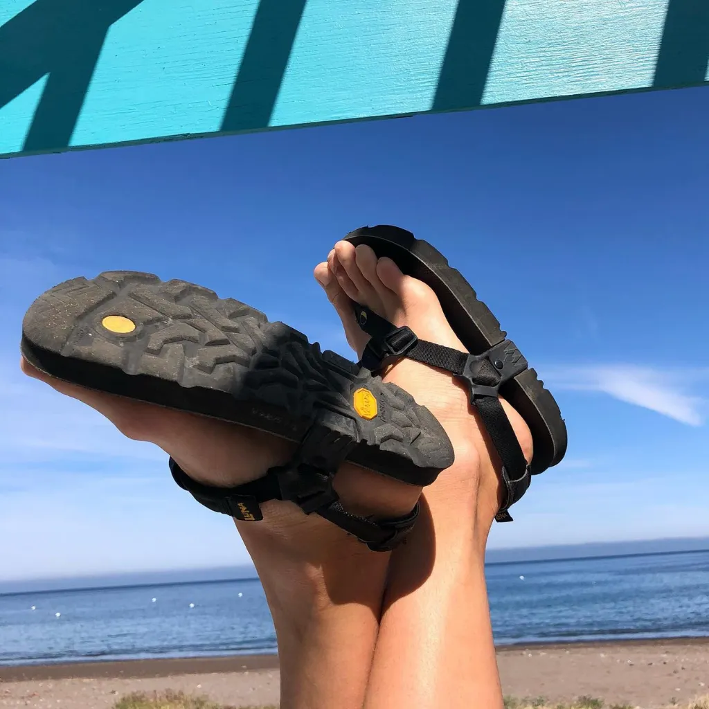 Mono Gordo Winged Edition - Black