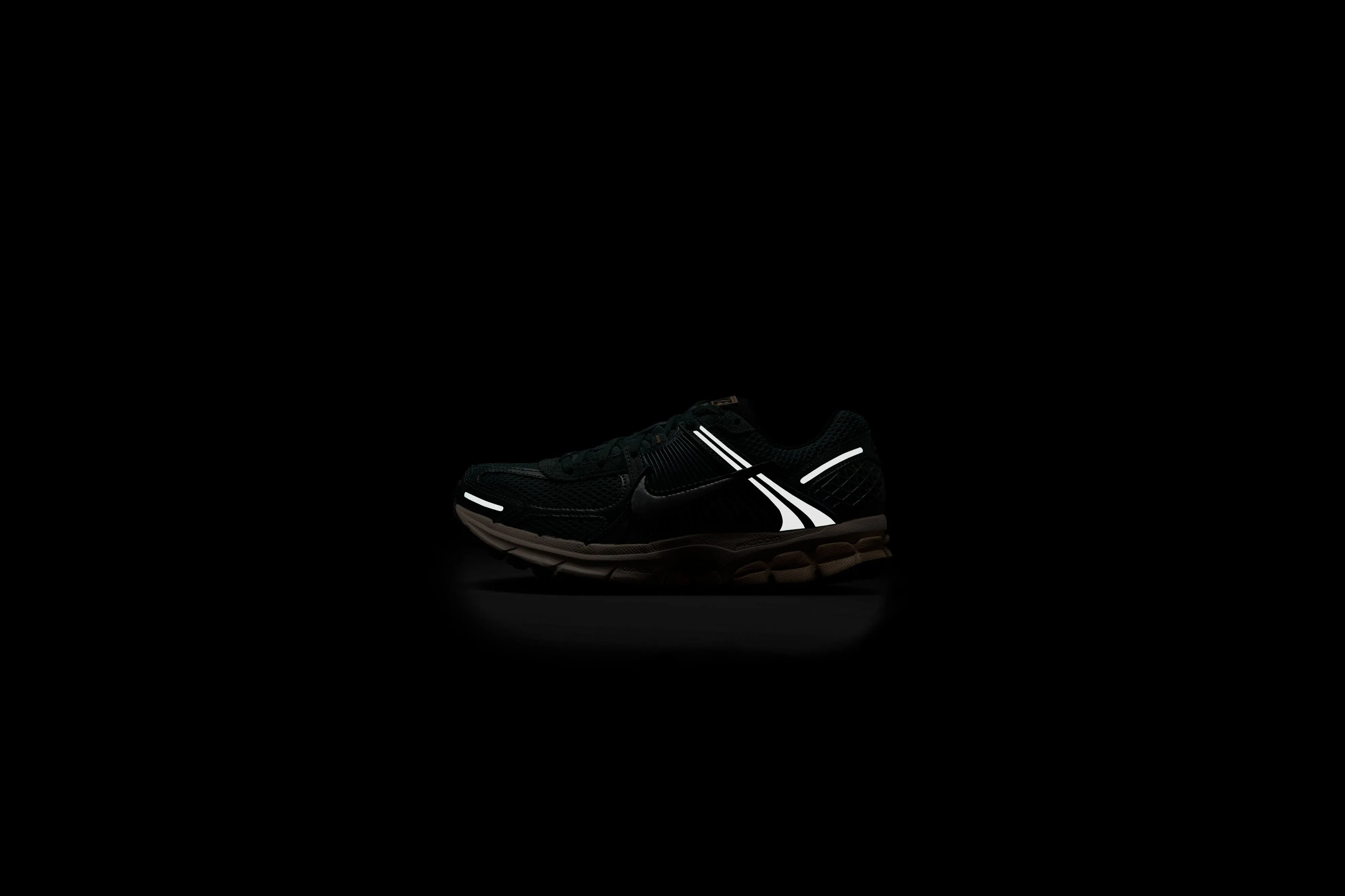 WMNS Nike Zoom Vomero 5 (Vintage Green/Chrome)